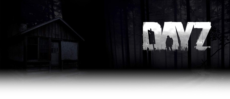 DayZ - Abseits des Mainstreams