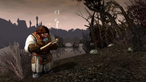 Herr der Ringe Online Screenshot