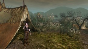 Herr der Ringe Online Screenshot