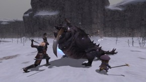 Final Fantasy XI Screenshot